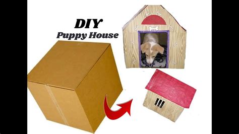 Puppies House | Pet Shops | Pet Shops For Labrador Dog / German Shepherd Dog / Golden Retriever Dog |