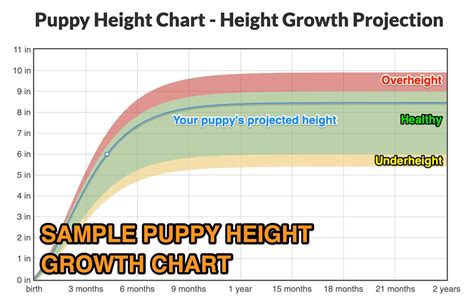 Puppy Height Chart Calculator