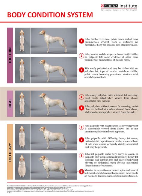 Purina Bcs Chart Dog