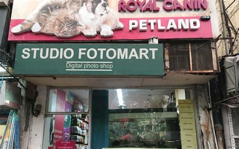 Purple Bone - Pet Shop In South Delhi
