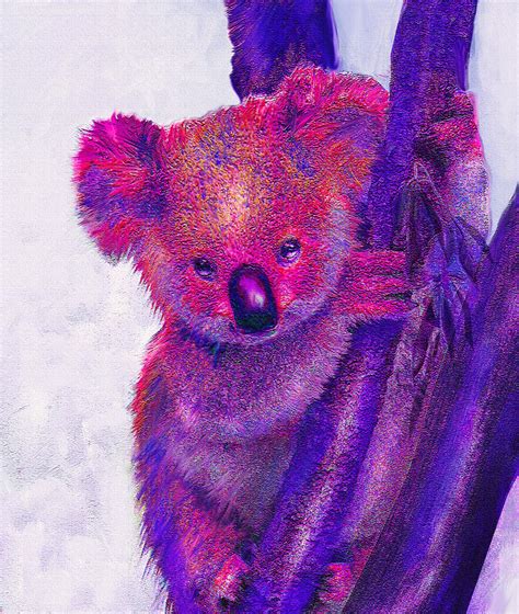 Purple Koala
