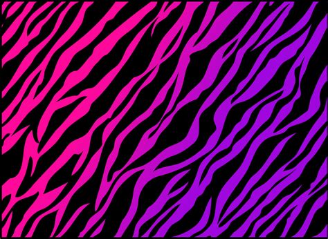 Purple Zebra
