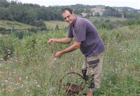 Py Gabriel à Garches
