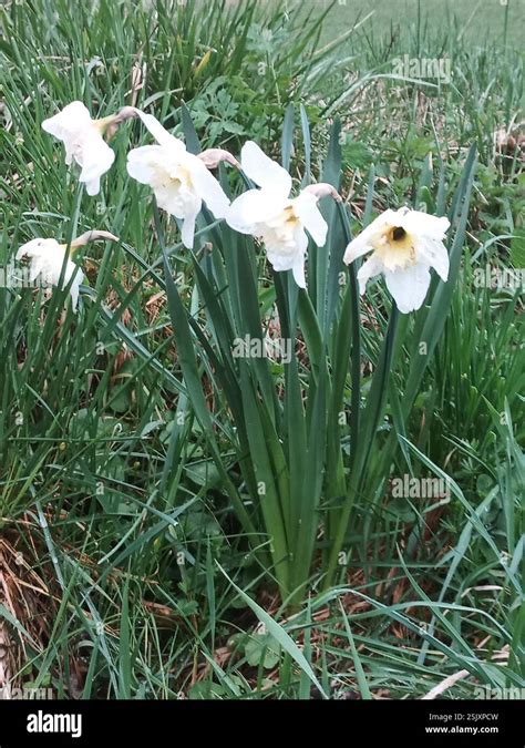 Quaix-en-Chartreuse Place à Quaix-en-Chartreuse