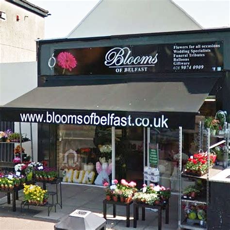 Quality florist Belfast