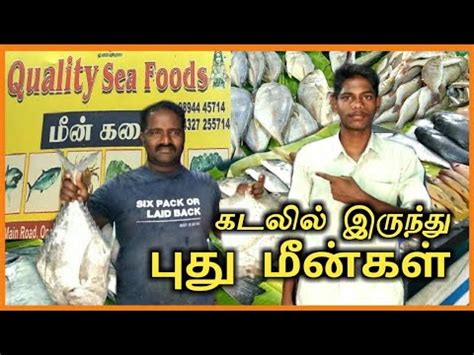 Quality sea Foods fish shop