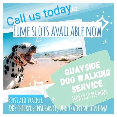 Quayside Dog Walking Services