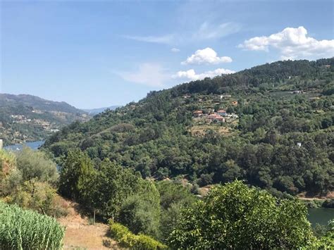 Quinta de Pinhete Magrelos