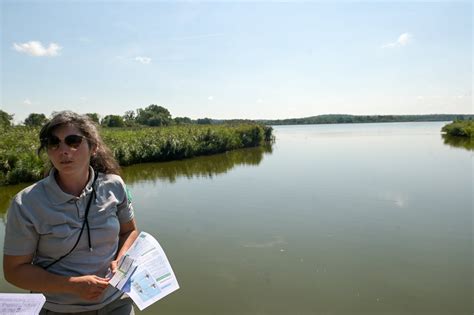 Réserve Naturelle Régionale des Etangs de Belval-en-Argonne à Belval-en-Argonne