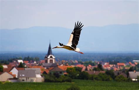 R.A.C.C.W - F5KAV à Walbourg