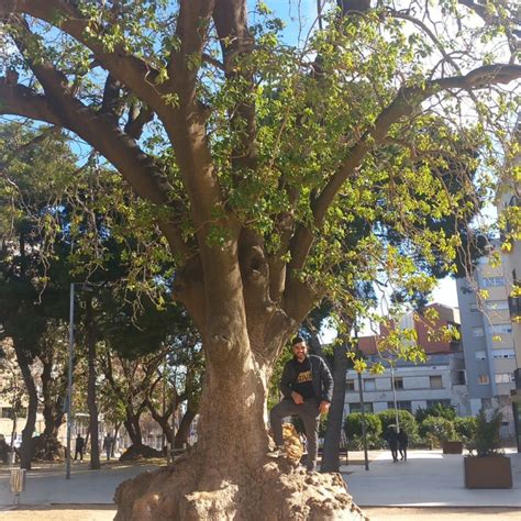 ROMAIN LEBASTARD à Nîmes