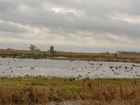 RSPB Buckenham and Cantley Marshes