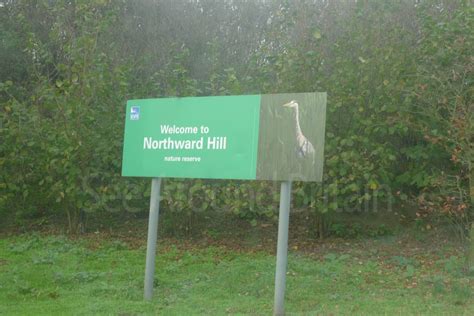 RSPB Northward Hill