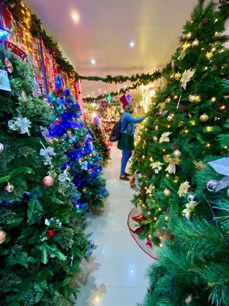 Raave's Evergreen Christmas Tree & Christmas Decorations