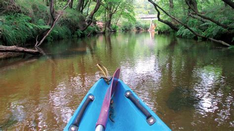 Radanielina à Pissos