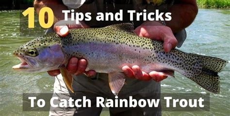 Rainbow Trout Fishing Techniques