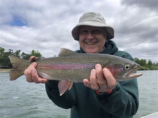 Rainbow Trout in Diamond Lake