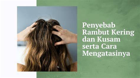 Rambut kering dan kusam