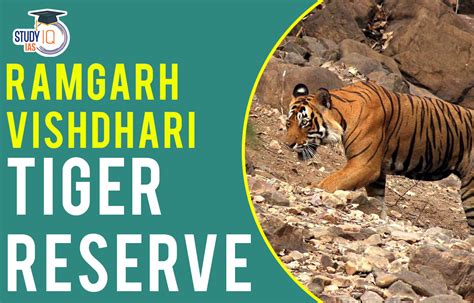 Ramgarh Visdhari Tiger Reserve, Bundi (RVTR Bundi)