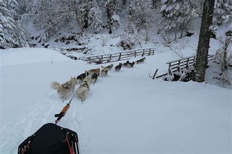Randogs à Chastreix