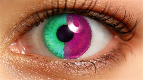 Human Eye Color