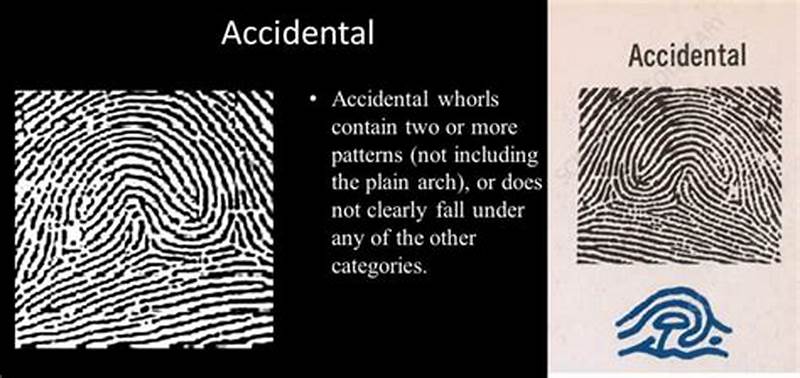 Rarest Fingerprint Pattern