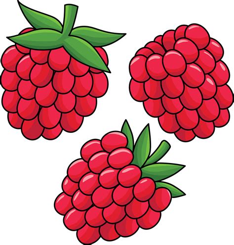 Raspberries Printable