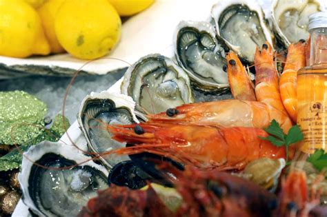 Ratafrites à Vendres