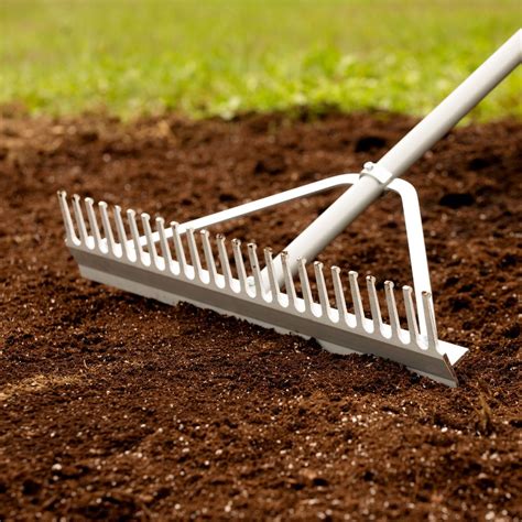 Rateau Xavier. à Poissy