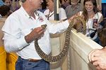 Rattlesnake Roundup Sweetwater Texas