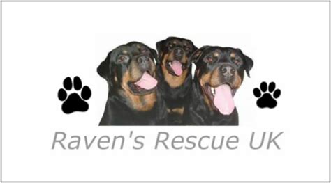 Raven's Rescue Charity Shop