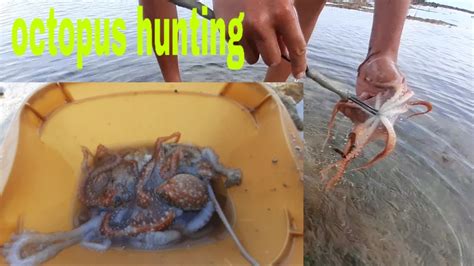 Red Octopus Alsace - PAMA à Mulhouse