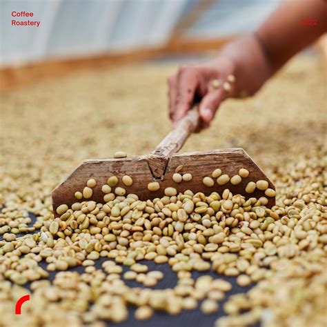 RedLab Coffee à Montpellier