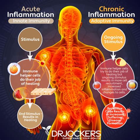 Reduced Inflammation Levels in the Body