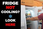 Refrigerator Not Cold