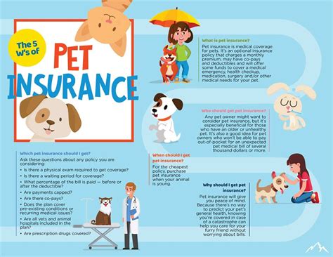 Reimbursement Policies in Pet Insurance