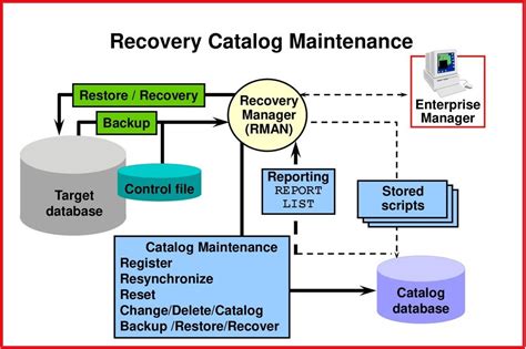 Remove Database Entry From Recovery Catalog Manually