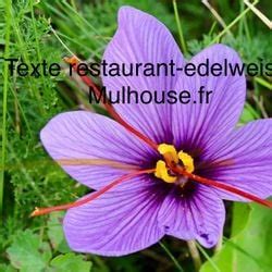 Restaurant Edelweis à Mulhouse