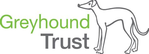 Retired Greyhound Trust Darlington