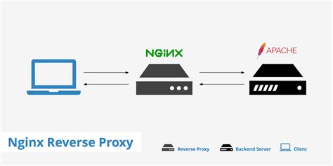 Reverse Proxy Nginx Icon