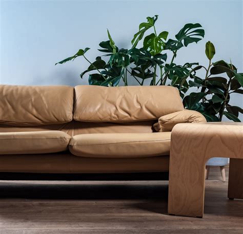 Revive Interiors Design Inspired Quality Sofas, Furniture & Unique Lighting