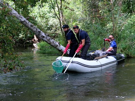 Ried Performance Auto à Mackenheim
