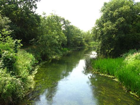 River Loddon