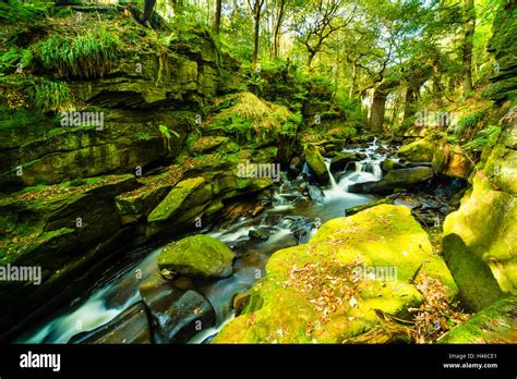 River Spodden