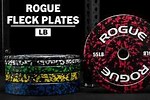 Rogue Fleck Plate Review