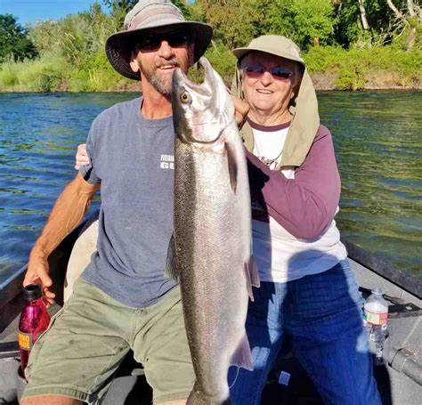 Rogue River Fishing Report Image