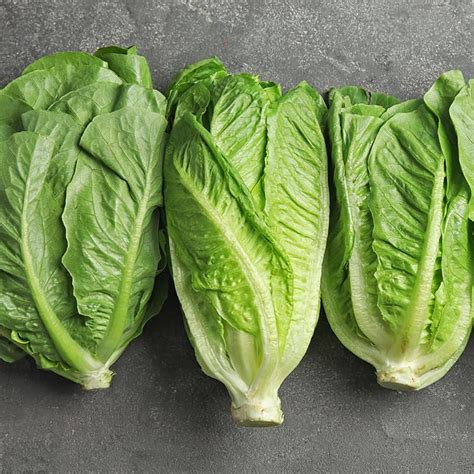 RomanLettuce Onlyfans Leak 13 PPV