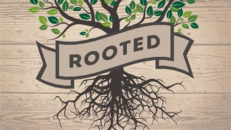 Rooted & Co Brighton