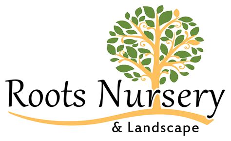 Roots Nursery School