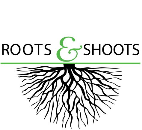 Roots Shoots & Boots Garden Maintenance Limited